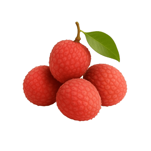Fresh Litchi